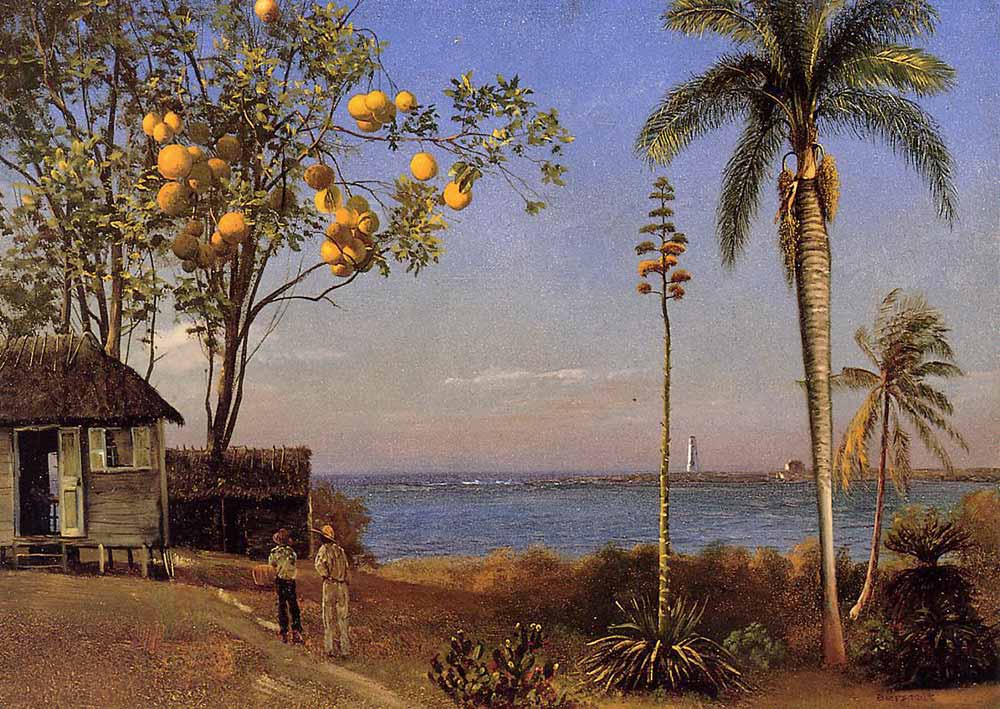 Albert Bierstadt Bahamalardan Bir Görünüm