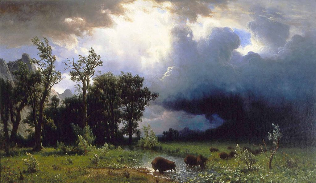 Albert Bierstadt Buffalo Yolu