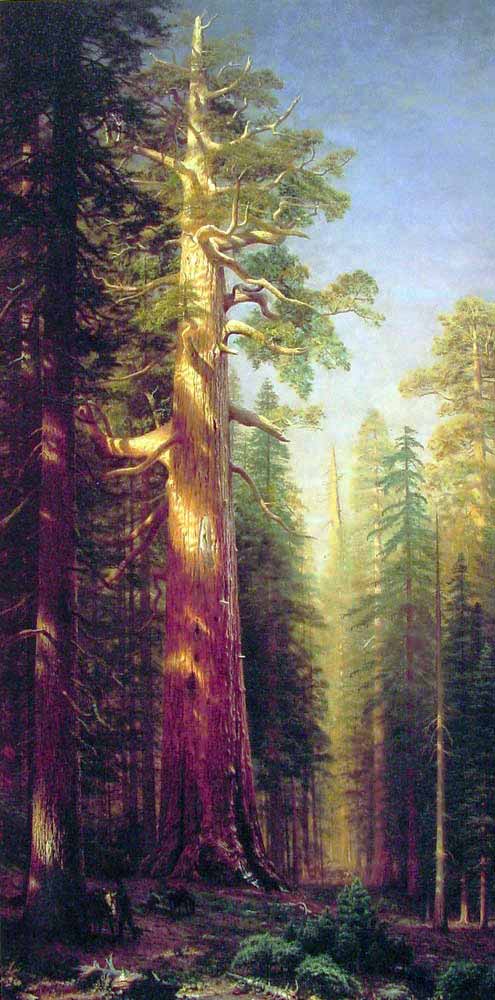 Albert Bierstadt Büyük Ağaçlar Kaliforniya