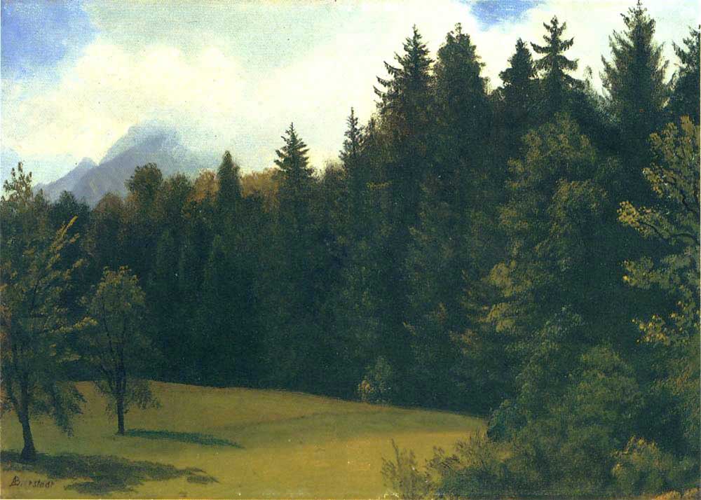 Albert Bierstadt Dağ Sayfiyesi