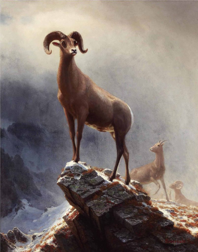 Albert Bierstadt Egemenlik