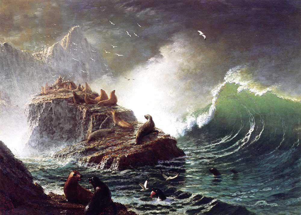 Albert Bierstadt Farallon Adasında Foklar