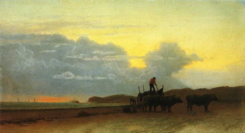 Albert Bierstadt New Port Sahili