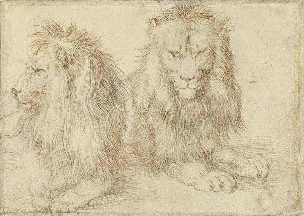 Albrecht Dürer, Aslanlar