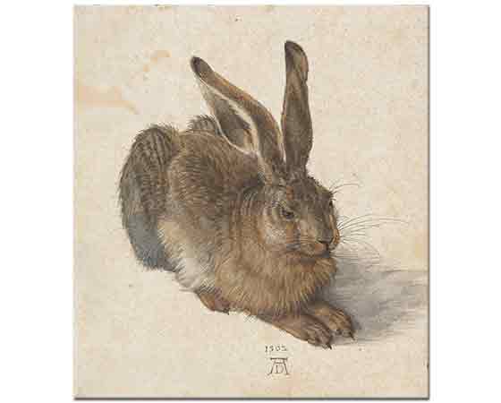 Albrecht Dürer, Genç Tavşan