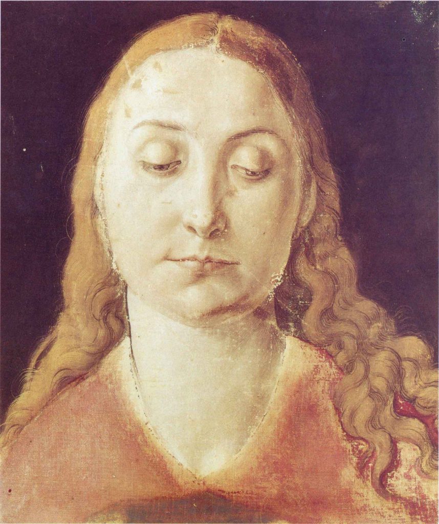 Albrecht Dürer, Kadın Kafası