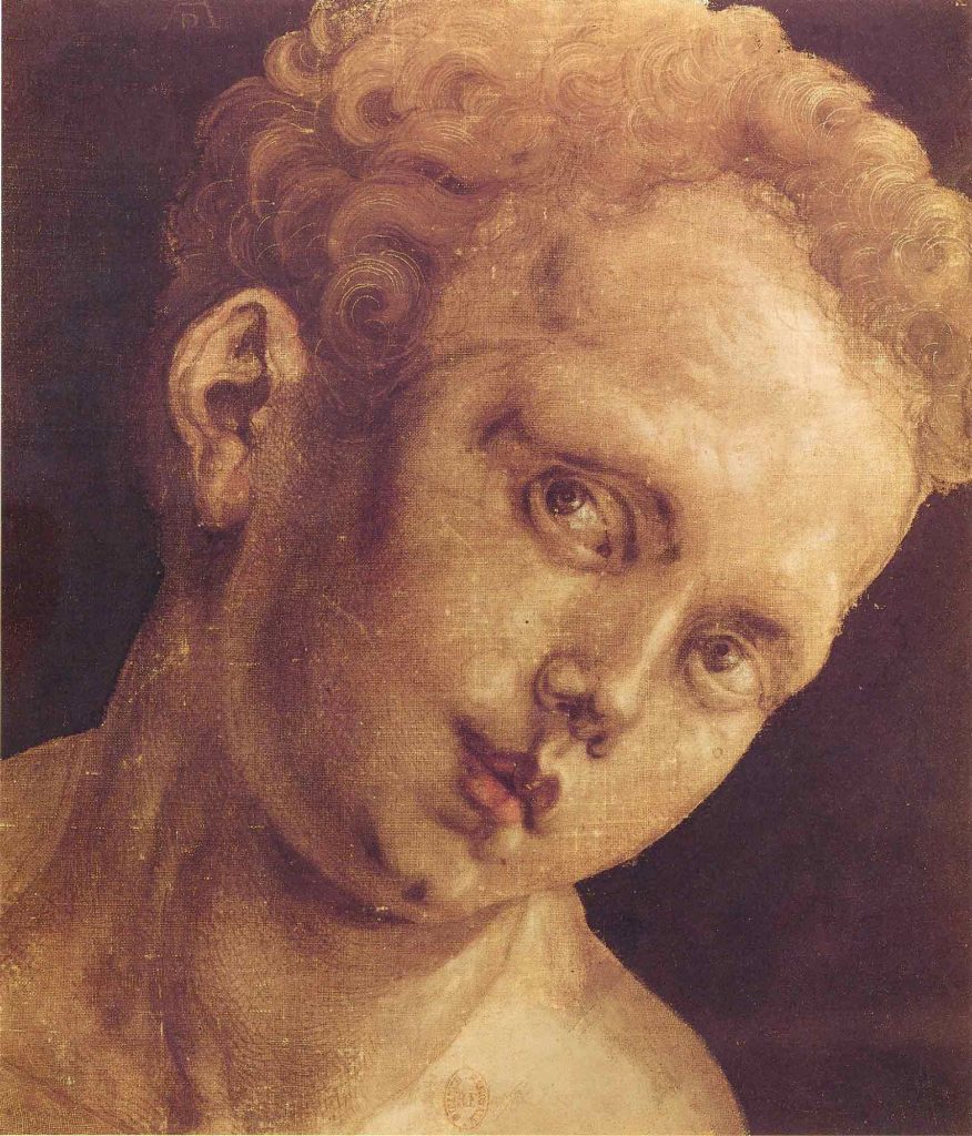 Albrecht Dürer, Sağa Dönük Çocuk Kafası