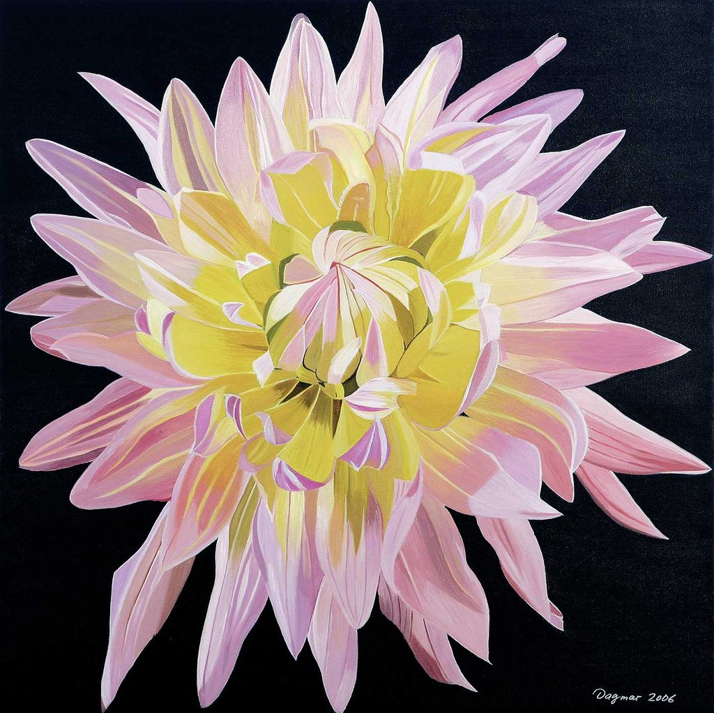 Dagmar Göğdün Flora 01 Dalya Çiçeği