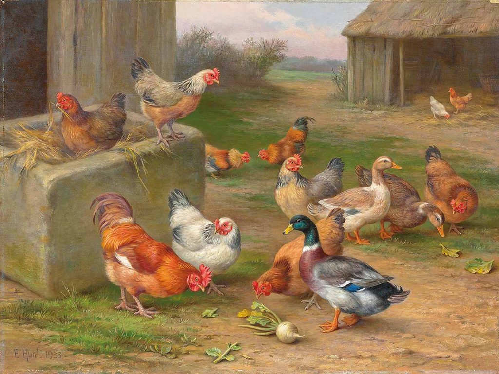 Edgar Hunt Çiftlikte Tavuklar