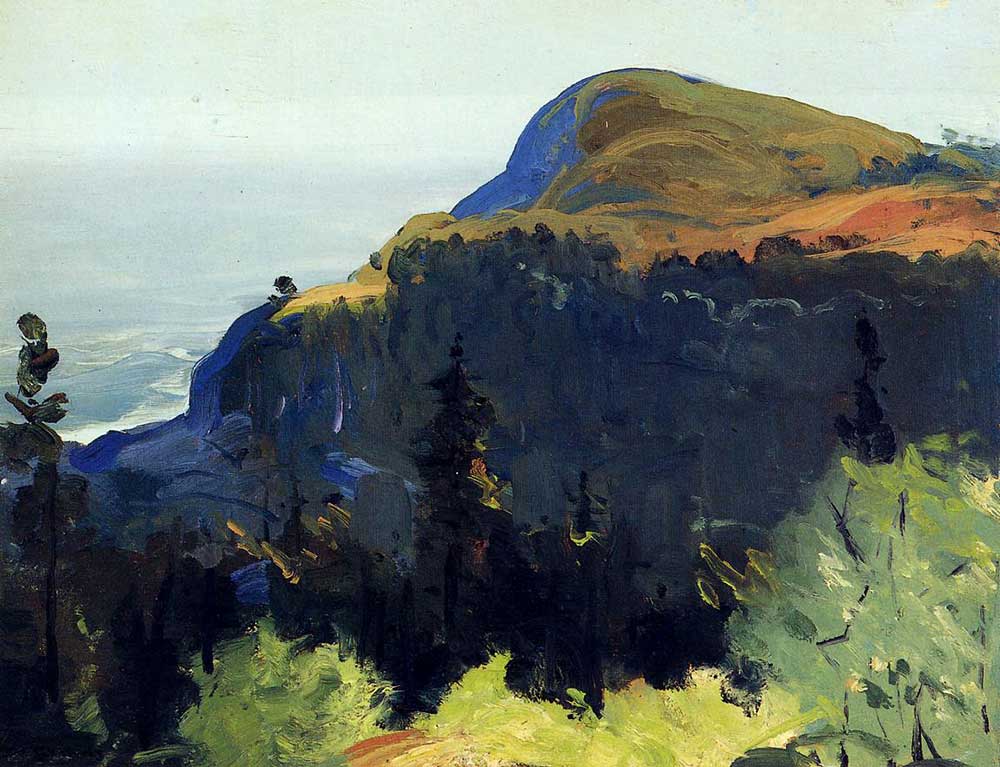 George Wesley Bellows Tepe ve Vadi