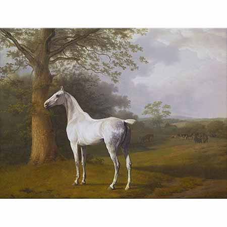 Jacques-Laurent Agasse Beyaz At