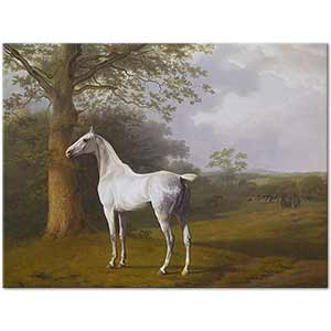 Jacques-Laurent Agasse Beyaz At