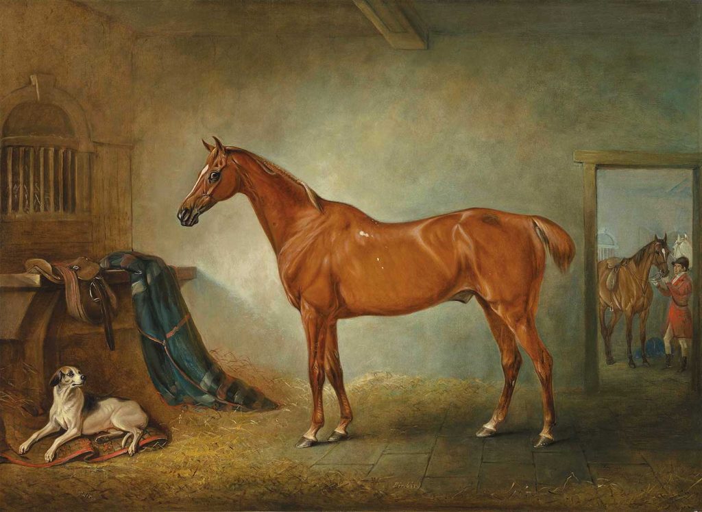 John Ferneley Av Atı