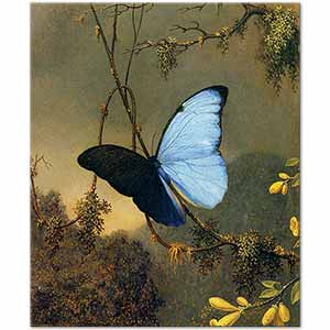 Martin Johnson Heade Mavi Kelebek