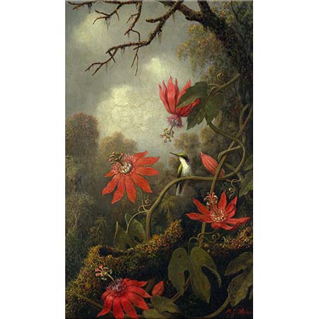 Martin Johnson Heade Çarkıfelek ve Kalibri