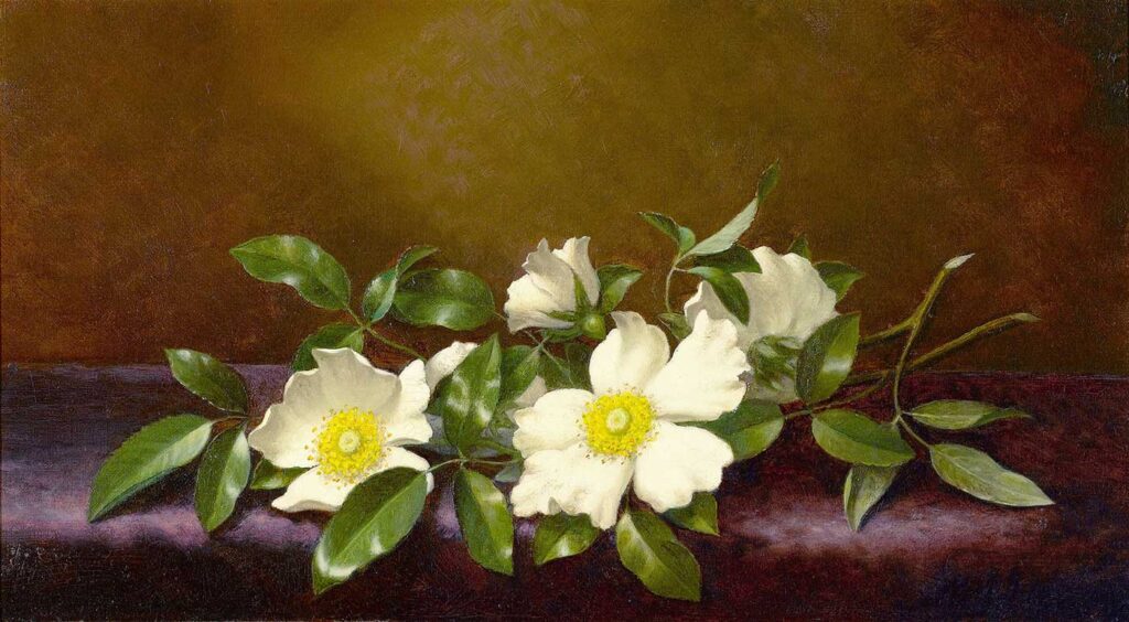 Martin Johnson Heade Mor Örtüde Yaban Gülleri