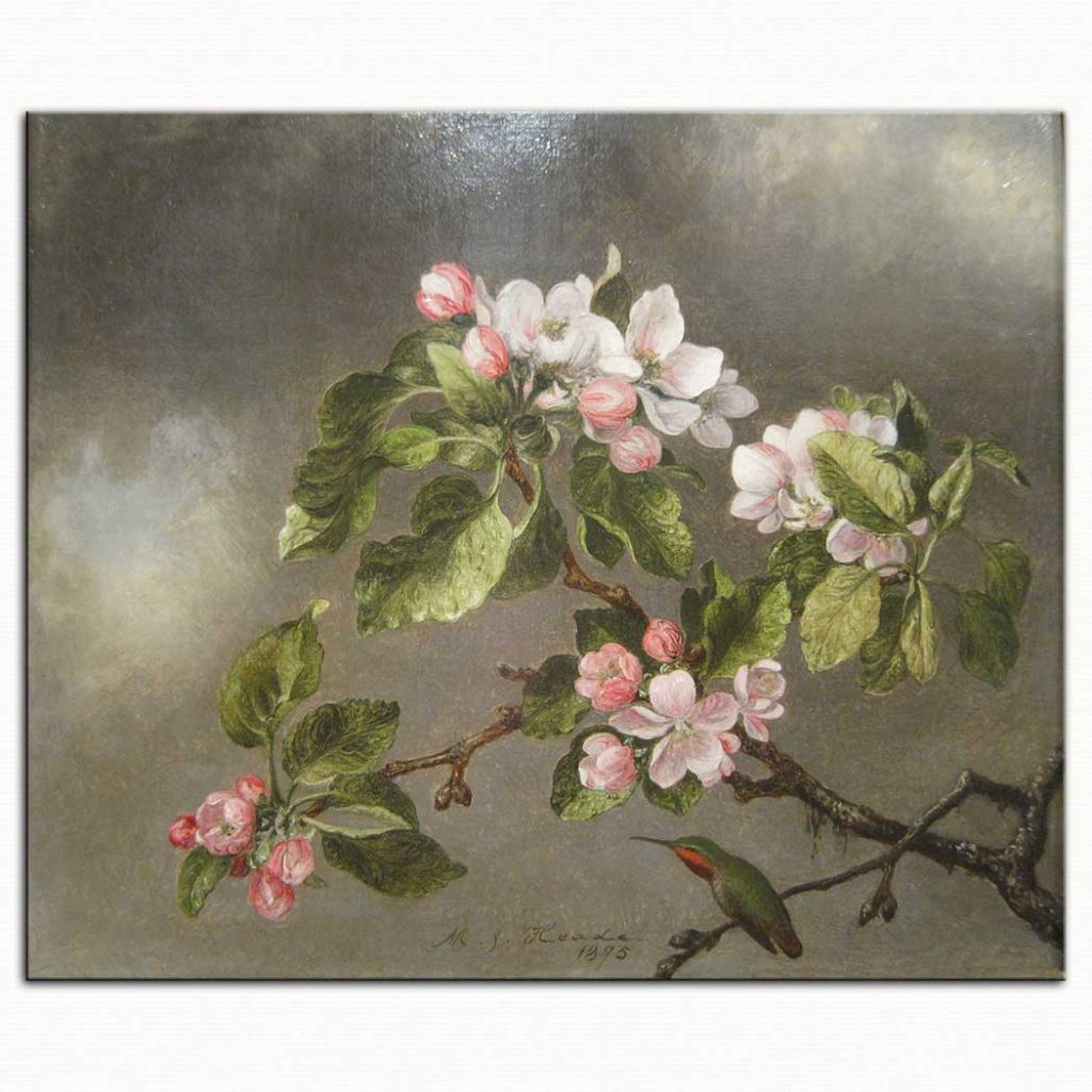 Martin Johnson Heade Elma çiçekleri