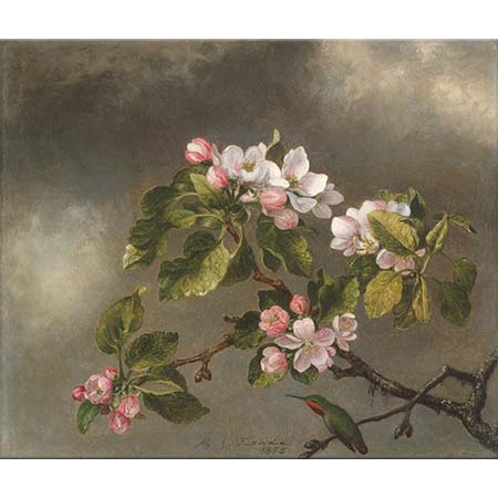 Martin Johnson Heade Elma Çiçekleri