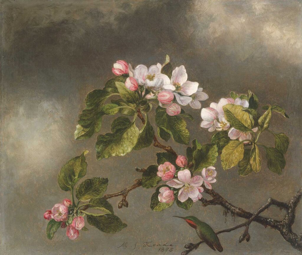 Martin Johnson Heade Elma Çiçekleri