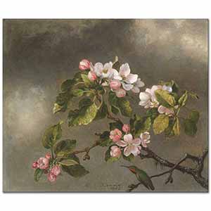 Martin Johnson Heade Elma Çiçekleri