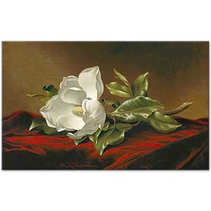 Martin Johnson Heade Kırmızı Kadifede Manolya