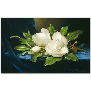 Martin Johnson Heade Mavi Kadife Örtüde İri Manolyalar