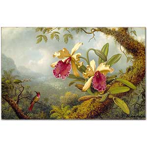 Martin Johnson Heade Orkideler ve Kalibri