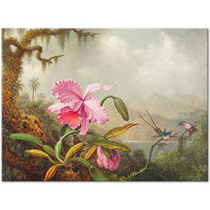 Martin Johnson Heade Orkide ve Kalibri