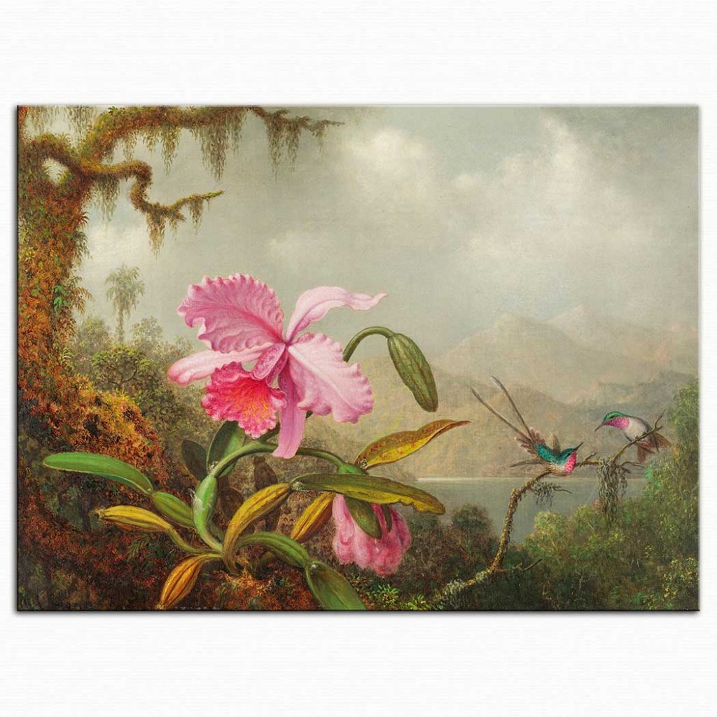 Martin Johnson Heade Orkide ve Kalibri