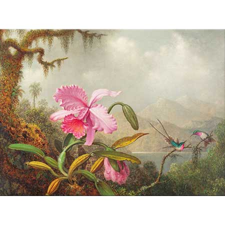 Martin Johnson Heade Orkide ve Kalibri