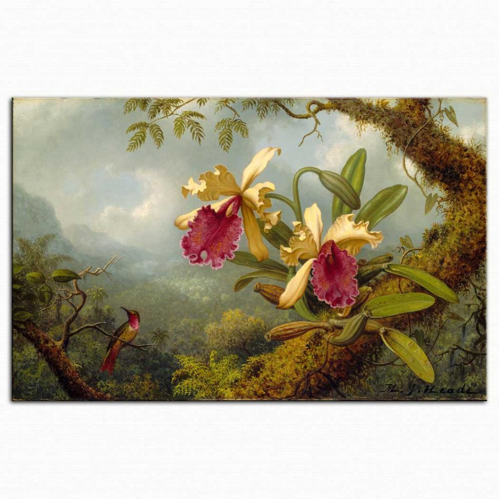 Martin Johnson Heade Orkideler ve Kalibri