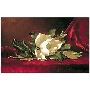 Martin Johnson Heade Manolya Demeti