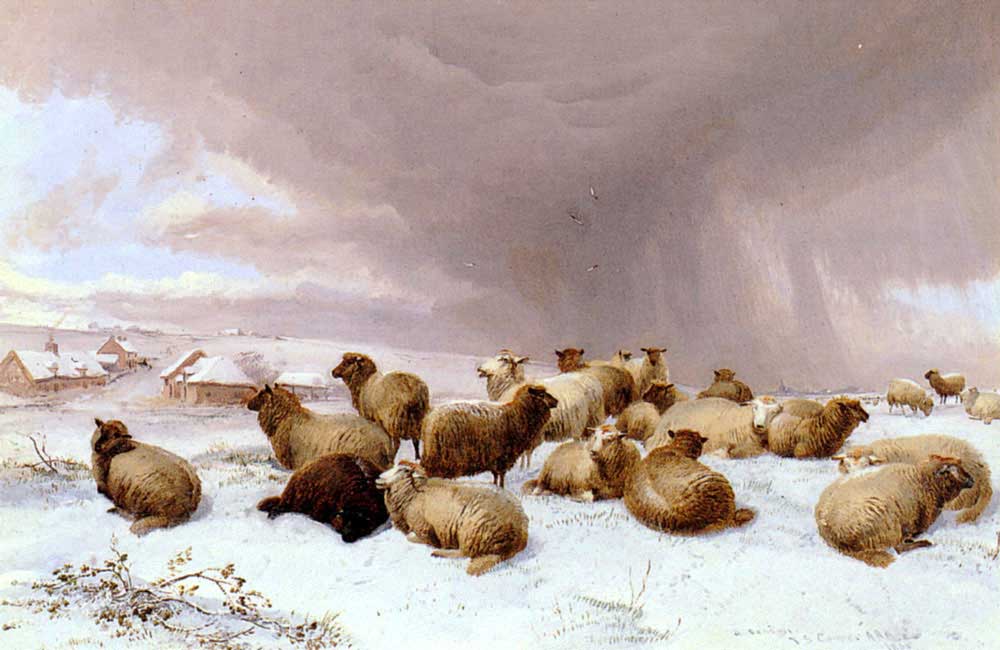 Thomas Sidney Cooper Karda Koyunlar