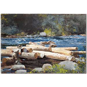 Winslow Homer Hudson Nehri
