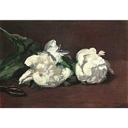 Edouard Manet Beyaz Manolyalar