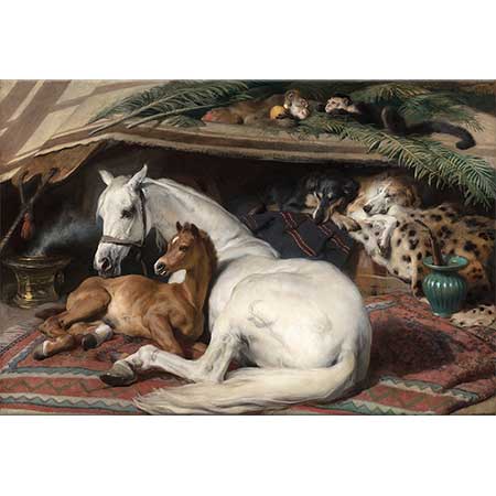 Sir Edwin Henry Landseer Arap Çadırı