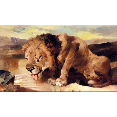 Sir Edwin Henry Landseer Su İçen Aslan