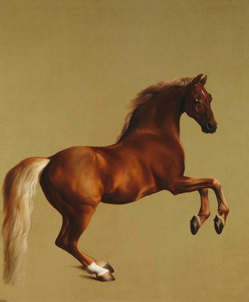 George Stubbs Şahlanış