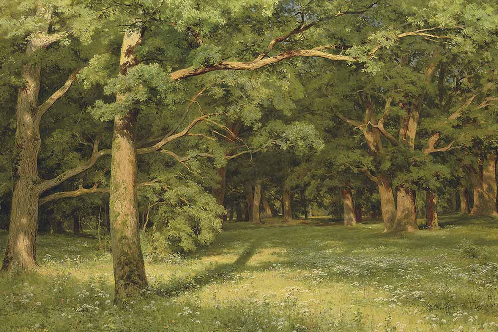 Ivan Shishkin Orman Temizliği