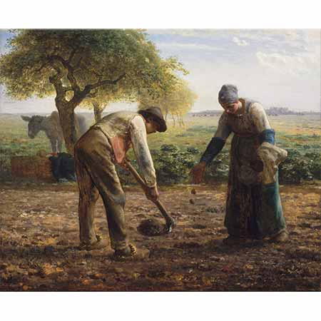 Jean François Millet Patates Ekimi