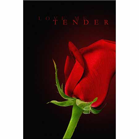 Onur Sezgin Love me Tender