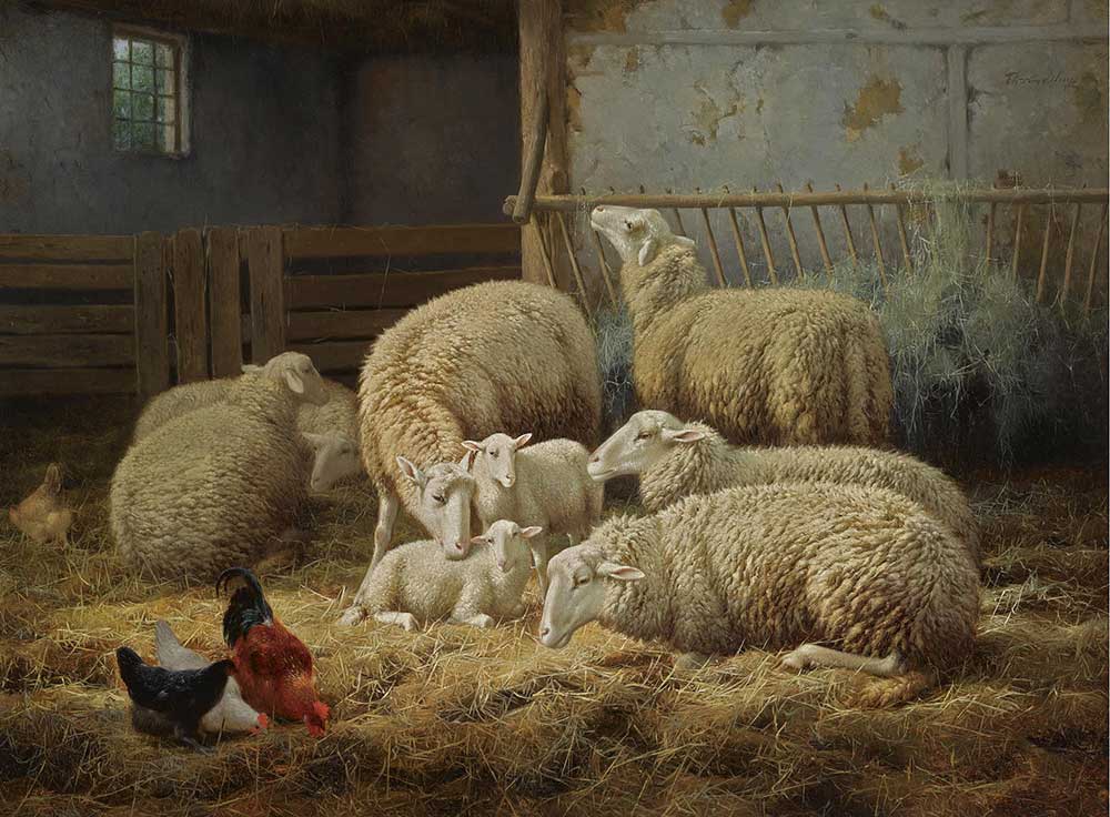 Theo van Sluys Ahırda Koyun ve Tavuklar