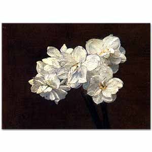 Victoria Fantin Latour Nergis Buketi