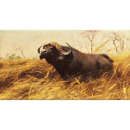 Friedrich Wilhelm Kuhnert Afrika Buffalosu