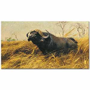 Friedrich Wilhelm Kuhnert Afrika Buffalosu