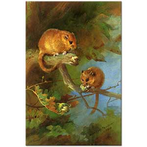 Archibald Thorburn Tarla Faresi