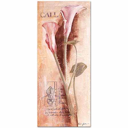 Calla Lily Kompozisyon