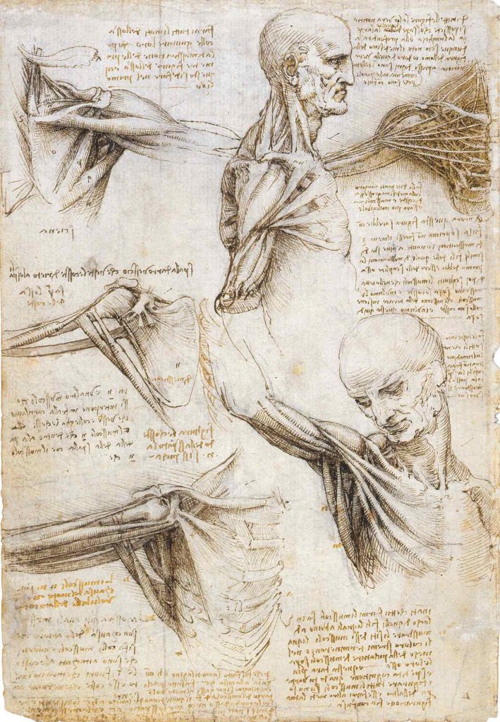 Leonardo Da Vinci Anatomi Çalışmaları