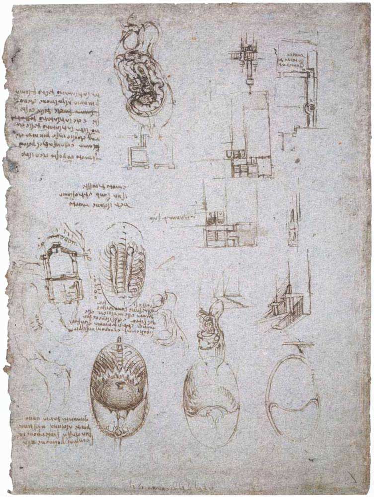 Leonardo Da Vinci Anatomi ve Mimari Çalışmaları