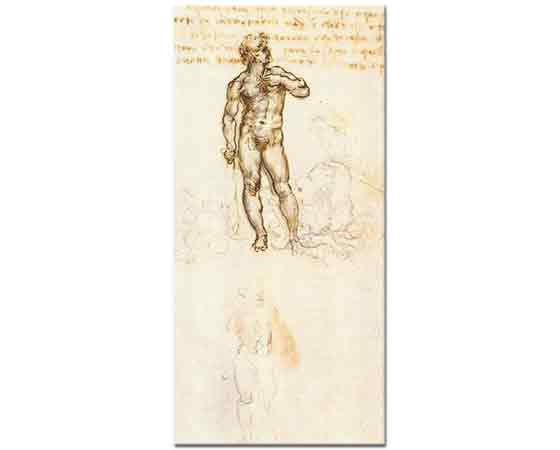 Leonardo Da Vinci Davud Eskizi (Mikelanj)